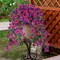 Artificial Hanging Flowers for Outdoor, 2 PCS Silk Morning Glory Faux Flowers (Purple, Pink)